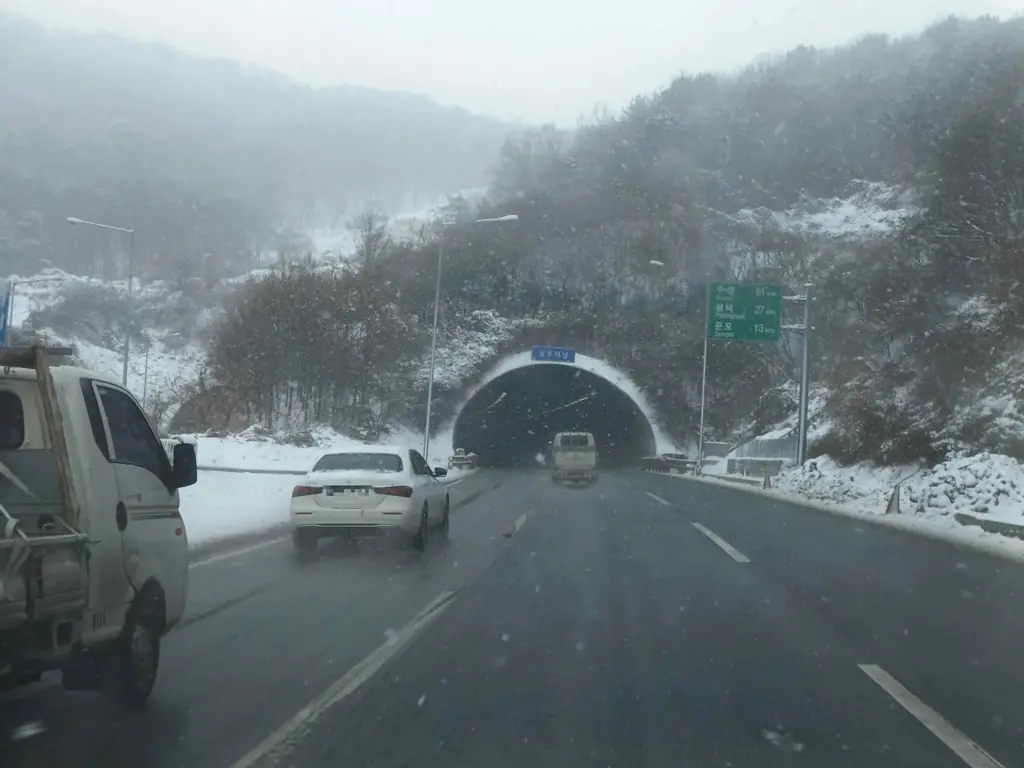 Q730 문제 이미지: 다음 상황에서 가장 안전한 운전방법 2가지는?